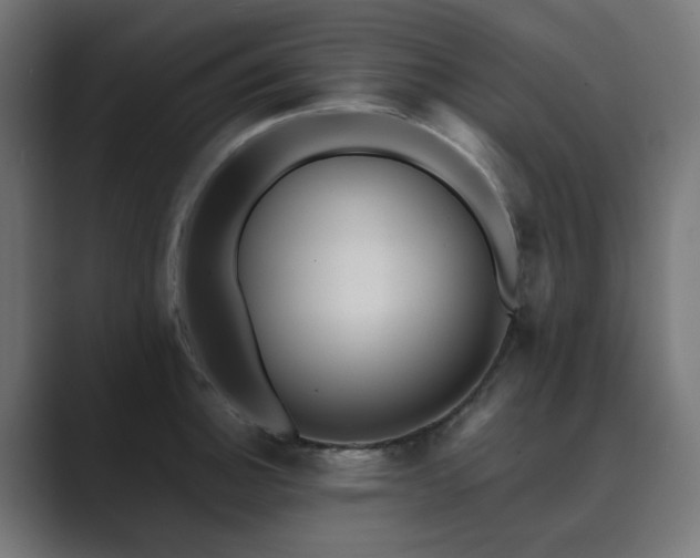 X0000089951140200706291207