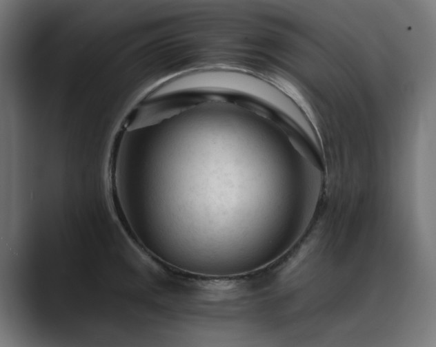 X0000089951141200706291207