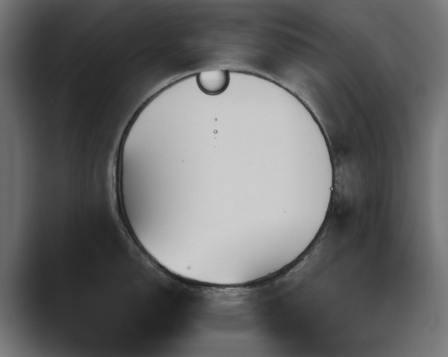 X0000089951150200706291207