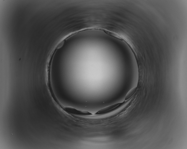 X0000089951151200706291207
