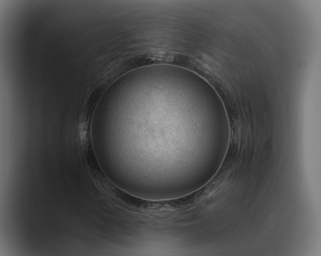 X0000089951154200706291206