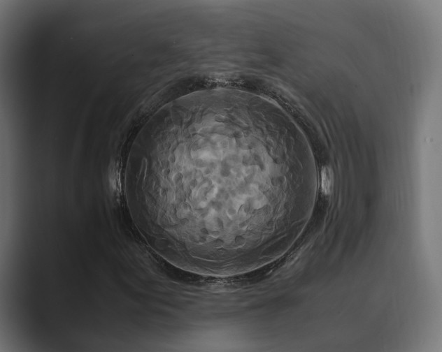 X0000089951155200706291206
