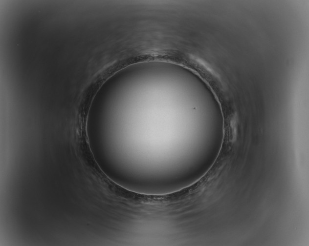X0000089951158200706291206