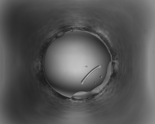X0000089951159200706291206