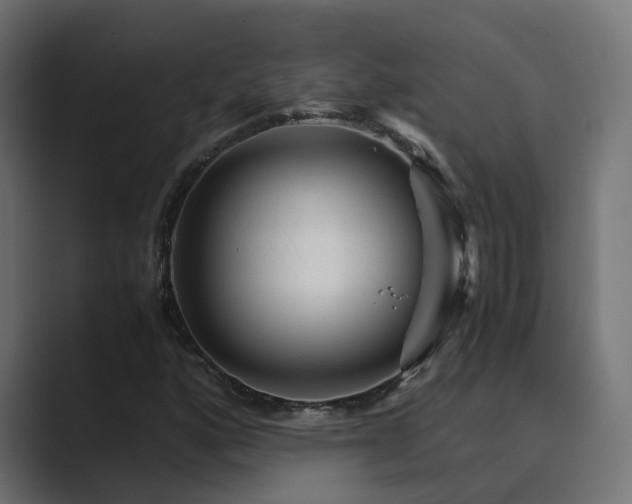 X0000089951160200706291206