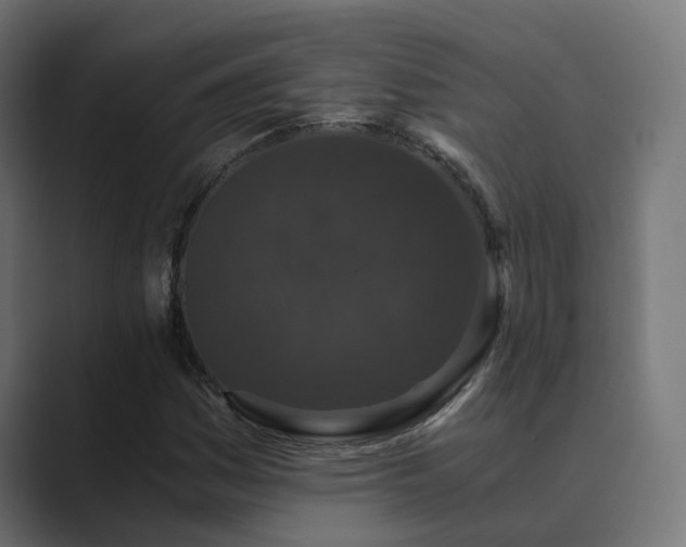 X0000089951161200706291206