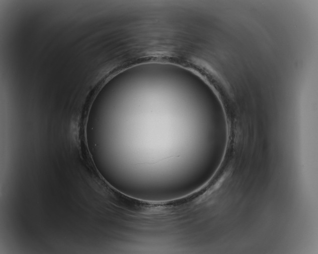 X0000089951162200706291206