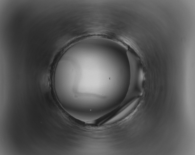 X0000089951164200706291206
