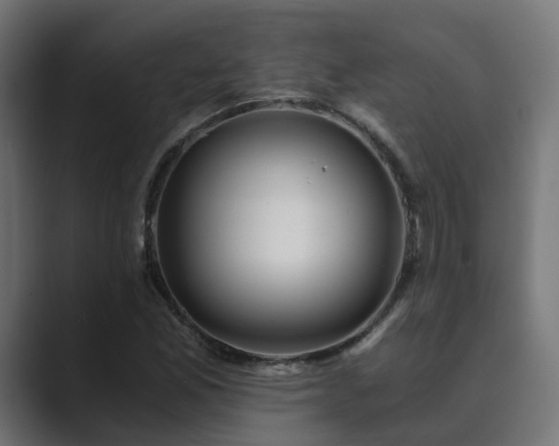 X0000089951165200706291206