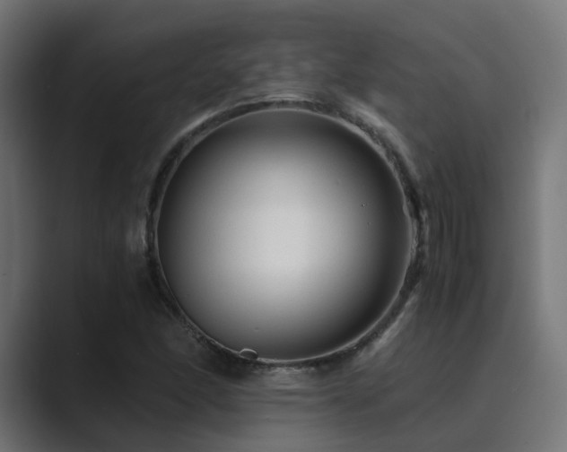 X0000089951166200706291206