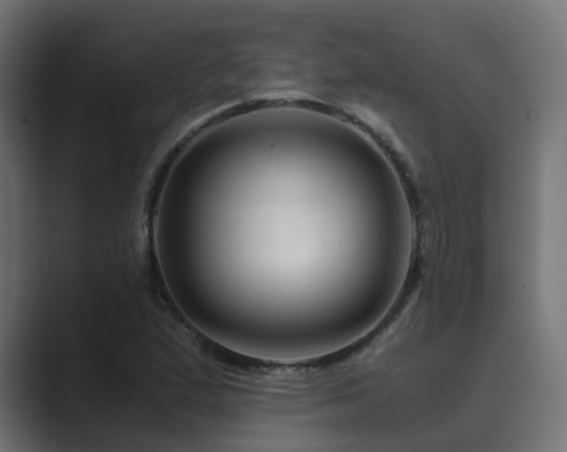 X0000089951167200706291206