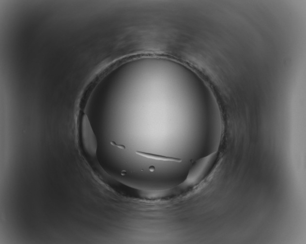 X0000089951168200706291206