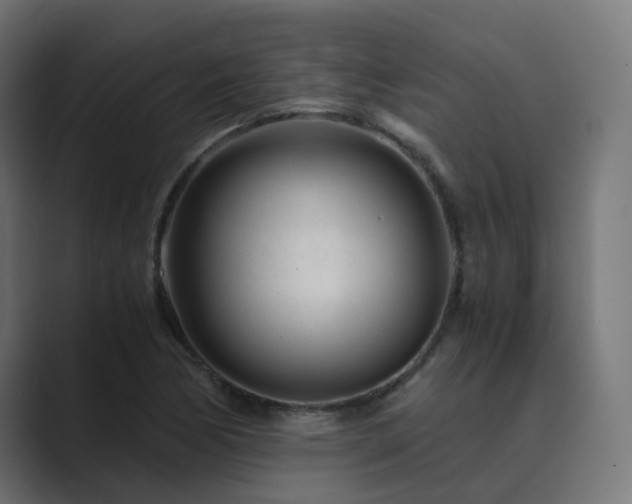 X0000089951170200706291206