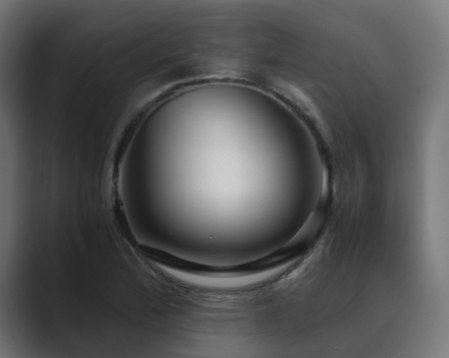 X0000089951172200706291206