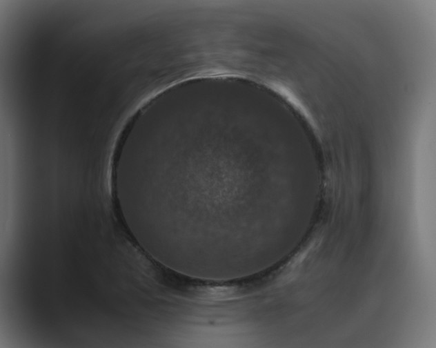 X0000089951173200706291206