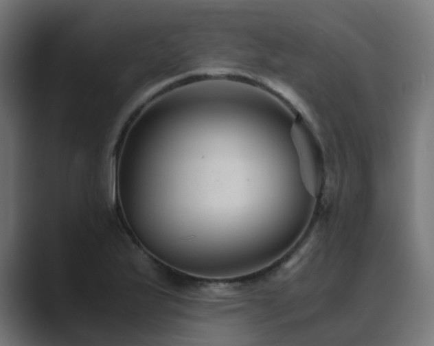 X0000089951175200706291206