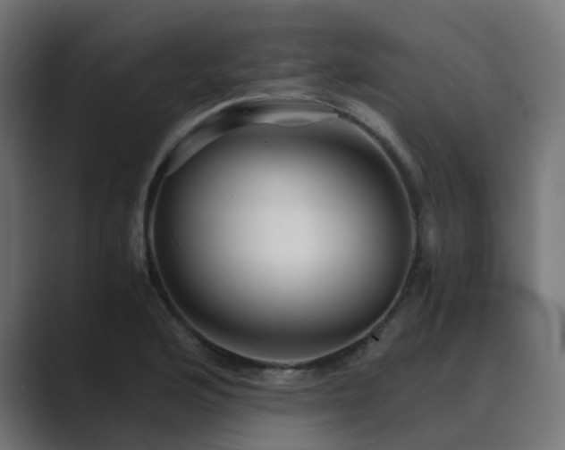 X0000089951176200706291206
