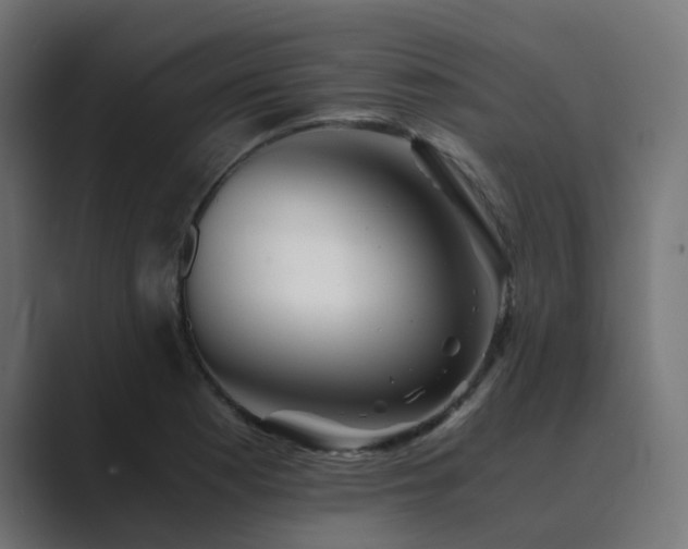 X0000089951177200706291206