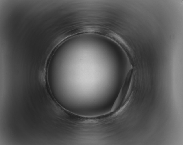X0000089951178200706291206