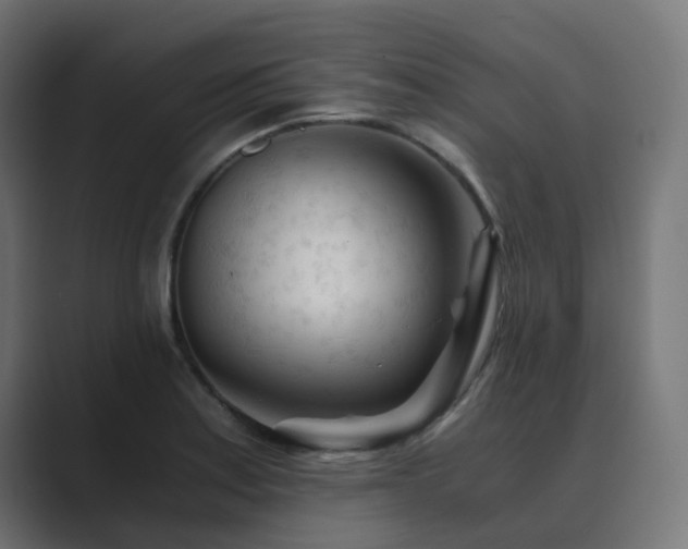 X0000089951179200706291206