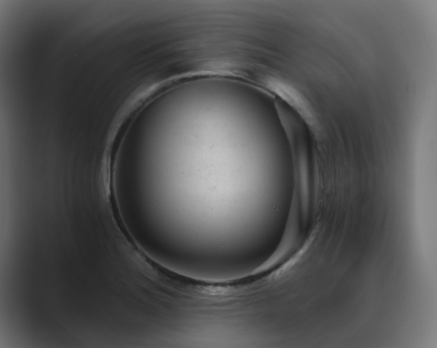 X0000089951180200706291206