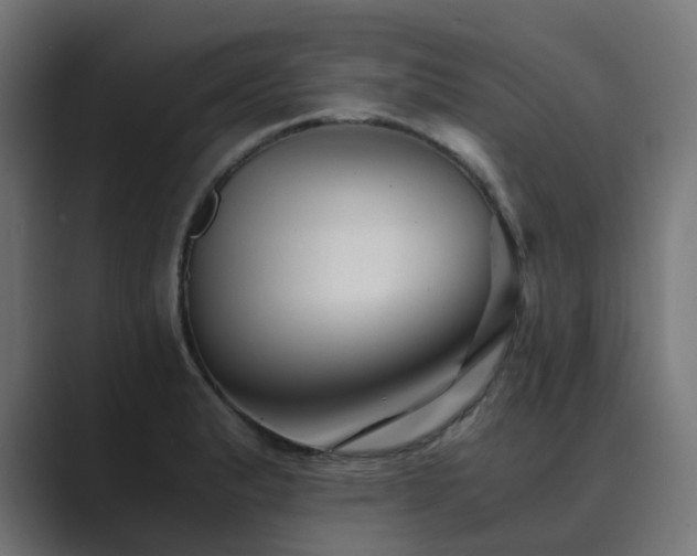 X0000089951183200706291206