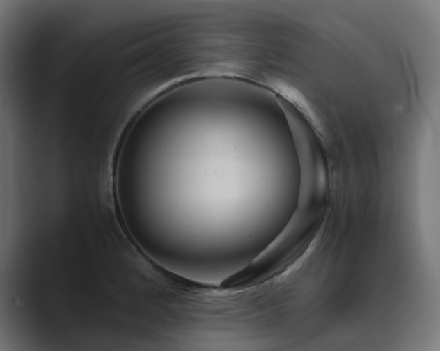 X0000089951184200706291206