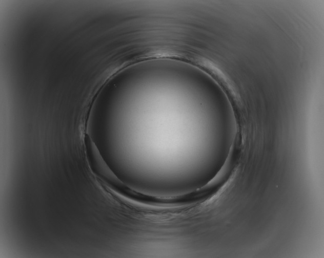 X0000089951185200706291206
