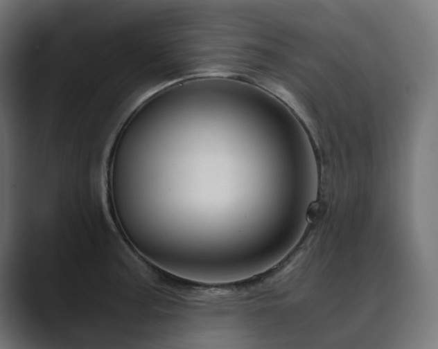 X0000089951187200706291206