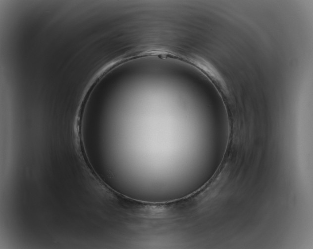 X0000089951190200706291206