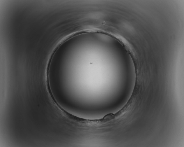 X0000089951191200706291206