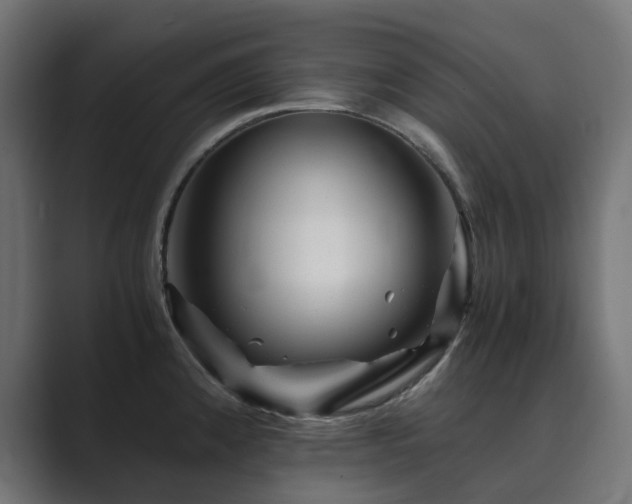 X0000089951192200706291206