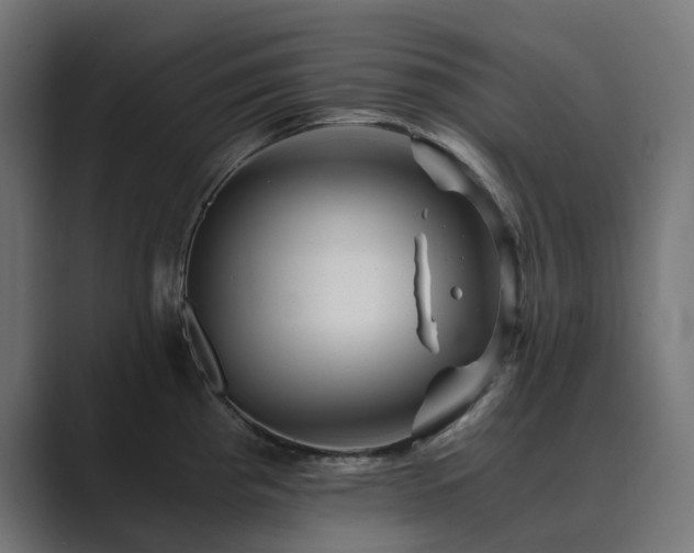 X0000089951193200706291206