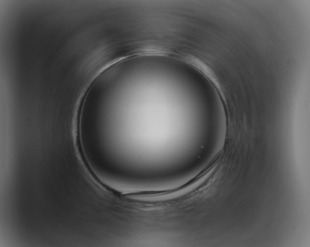 X0000089951195200706291206