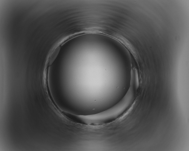 X0000089951196200706291206