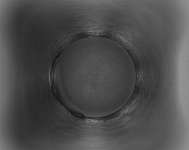 X0000089951202200706291205