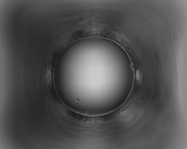 X0000089951203200706291205