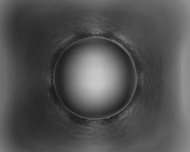 X0000089951205200706291205