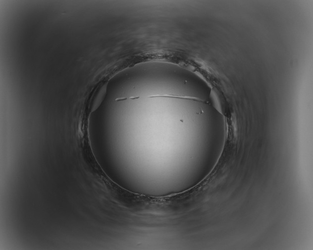 X0000089951206200706291205