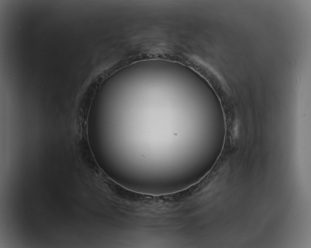 X0000089951207200706291205