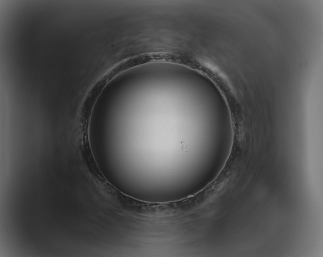X0000089951208200706291205