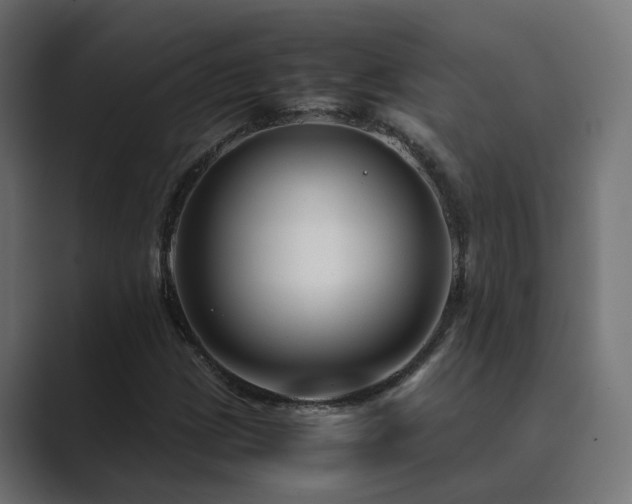 X0000089951209200706291205