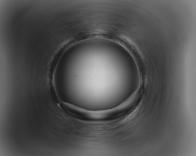 X0000089951210200706291205
