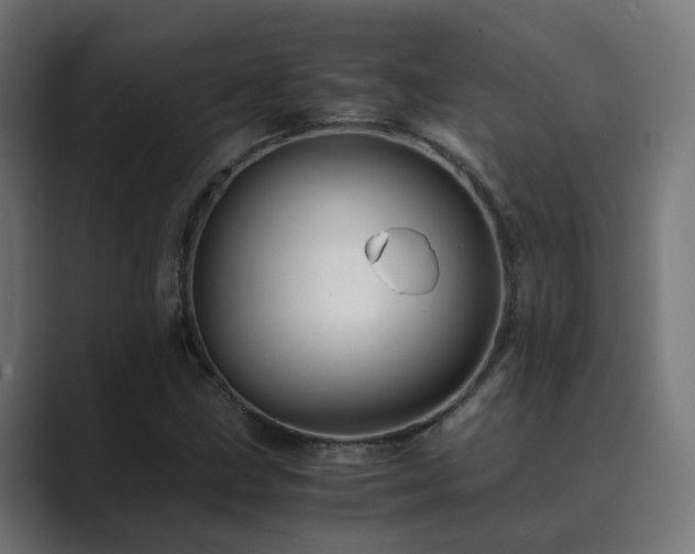 X0000089951211200706291205