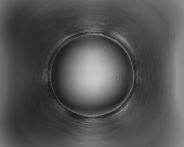 X0000089951212200706291205