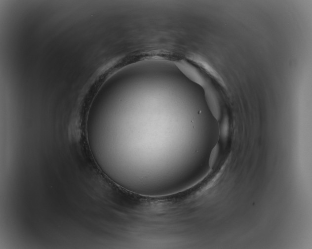 X0000089951213200706291205
