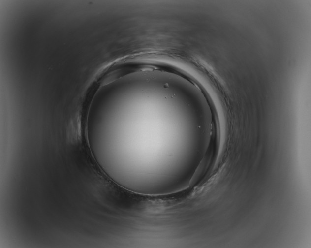 X0000089951214200706291205