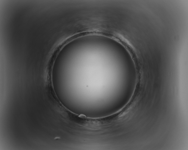X0000089951215200706291205