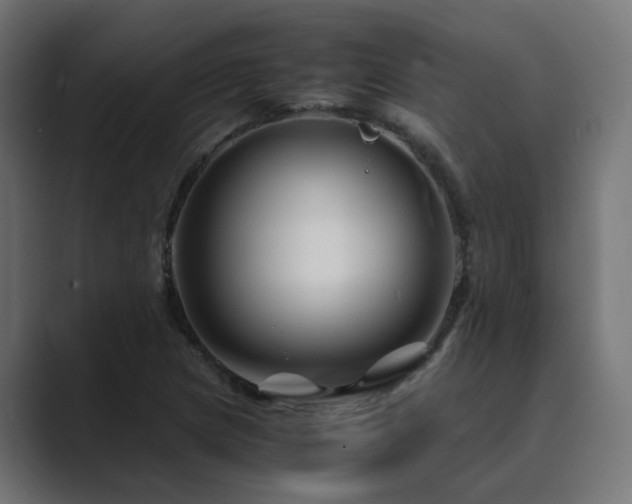 X0000089951217200706291205