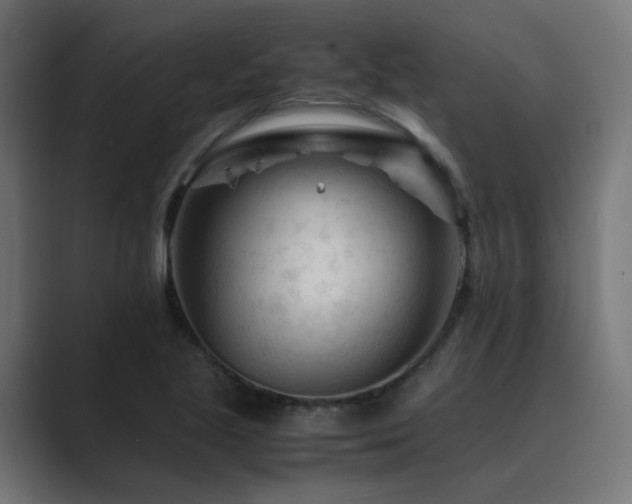X0000089951221200706291206